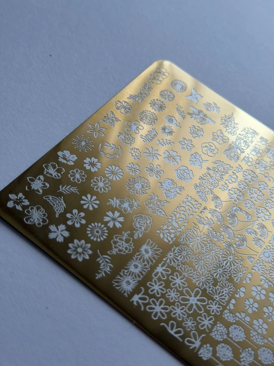 WhatsApp Image 2026-04-02 at 22.02.14.jpeg