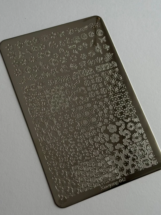 WhatsApp Image 2026-04-02 at 22.13.29.jpeg