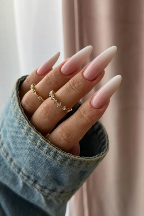 WhatsApp Image 2026-04-05 at 21.21.25.jpeg